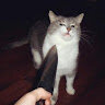 MrTurf666