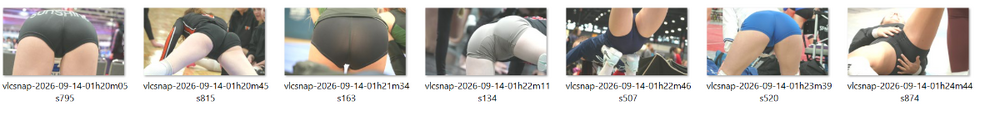 Preview Snaphot 2.png