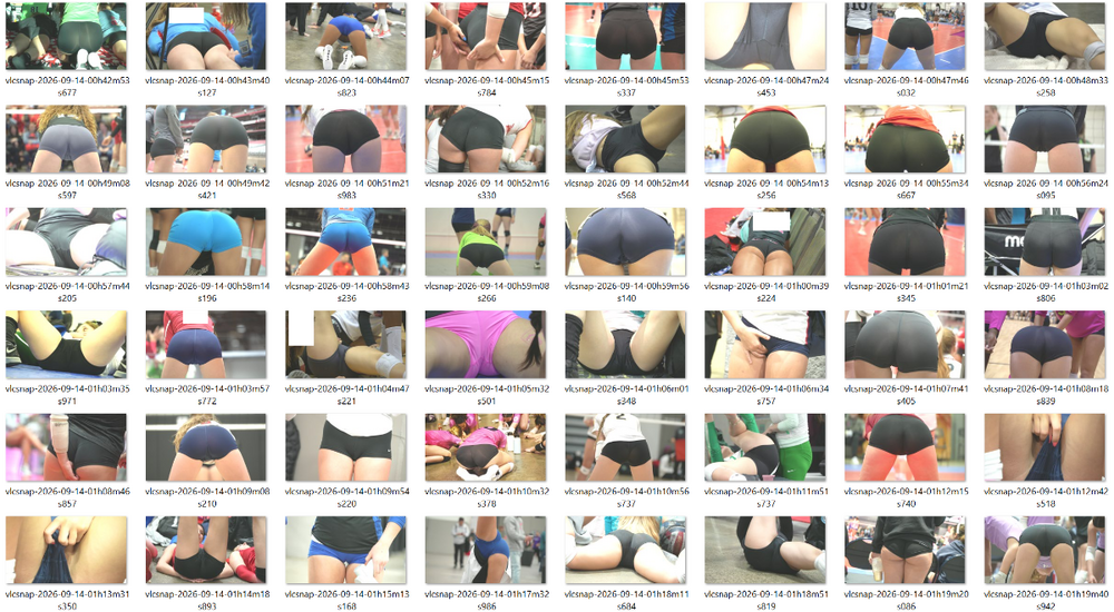 Preview Snapshot 1.png
