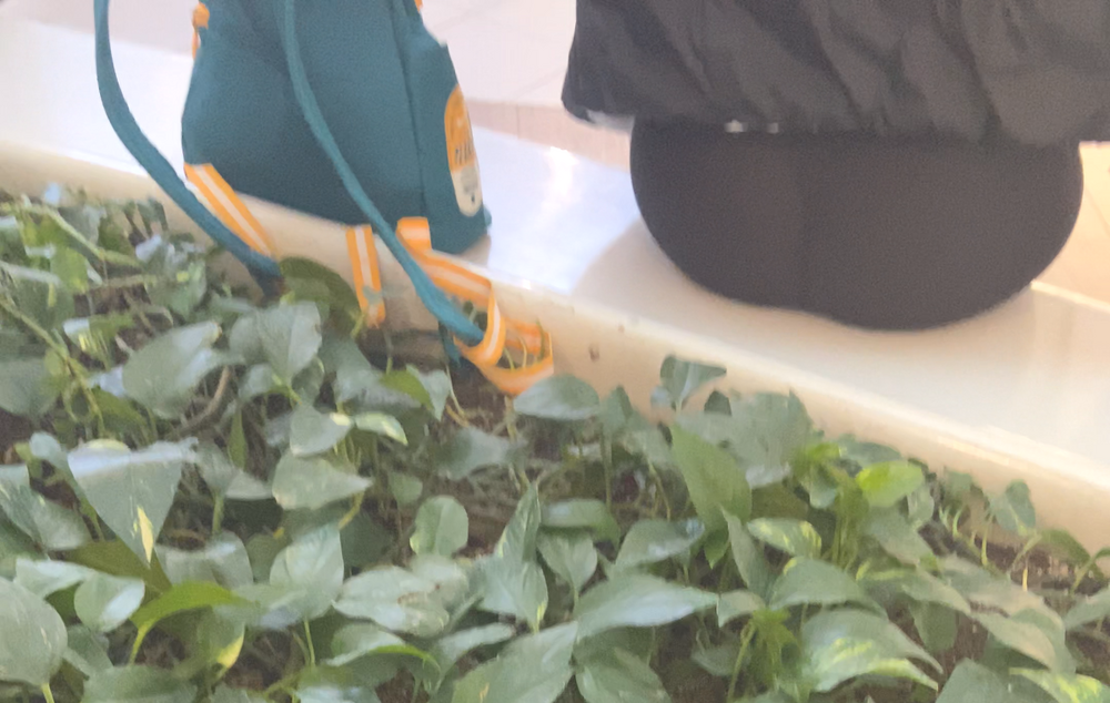 DiscreetCameraApp_1710256328688.MP4_snapshot_00_11_223.thumb.png.98275a0a29560ec6bf8e23cce24547e1.png